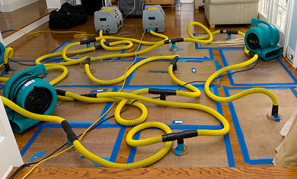 Professional Water Damage Repair technician working in Hudson, FL